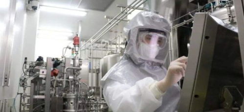 哈瓦克综合征与2025年全球疫情评估