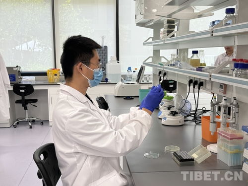 余杭之旅 科技创新与文遗保护的融合发展